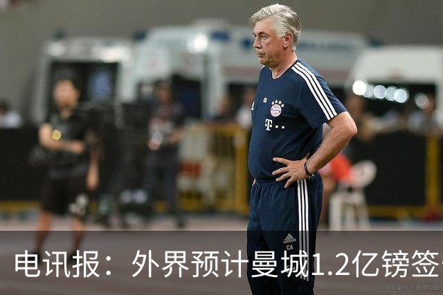 电讯报：外界预计曼城1.2亿镑签安德森 担忧这一价格引发连锁反应